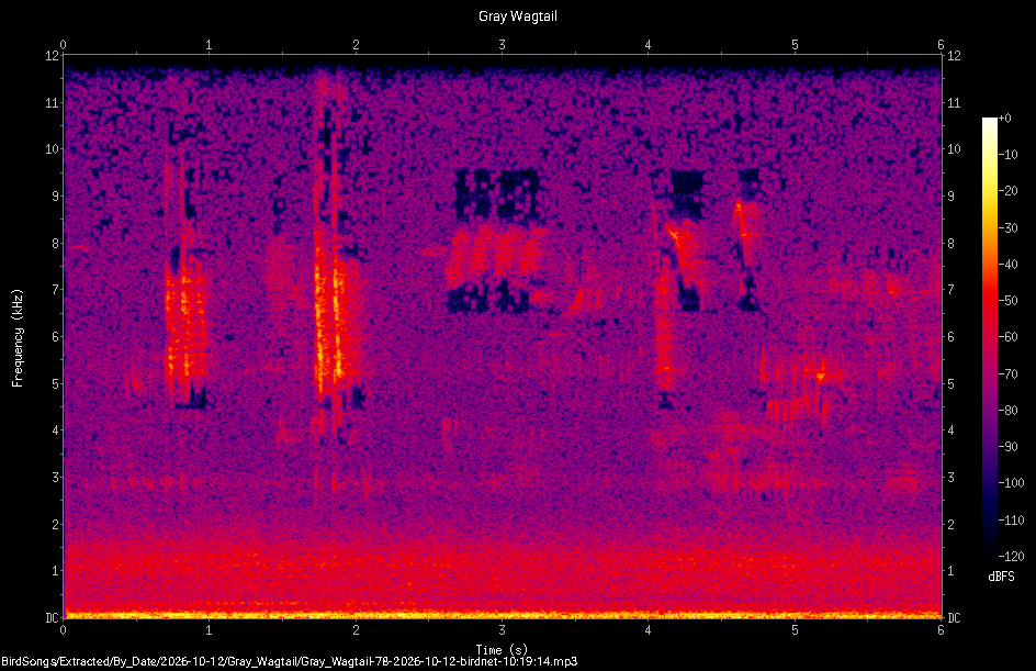 Spectrogram of a Gray Wagtail recorded at 10:19:14