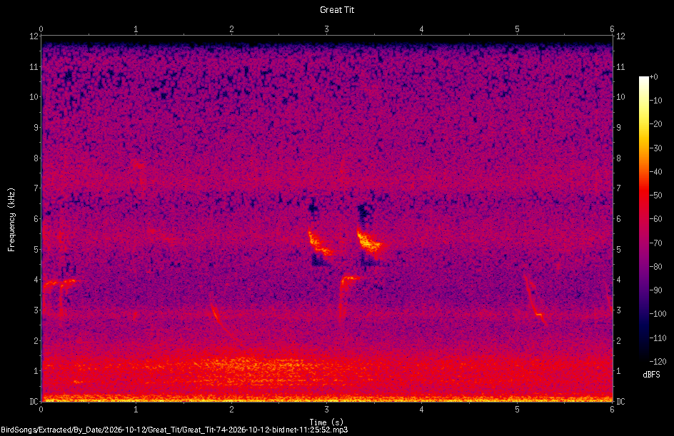 Spectrogram of a Great Tit recorded at 11:25:52