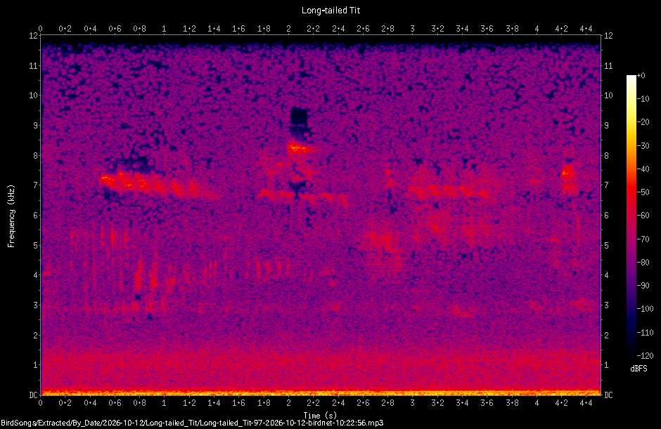 Spectrogram of a Long-tailed Tit recorded at 10:22:56