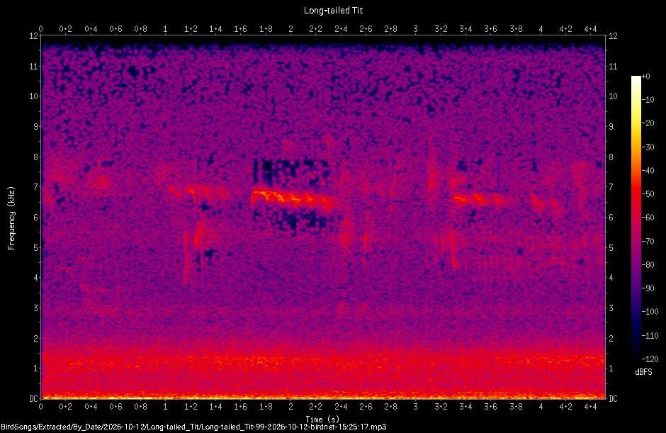 Spectrogram of a Long-tailed Tit recorded at 15:25:17