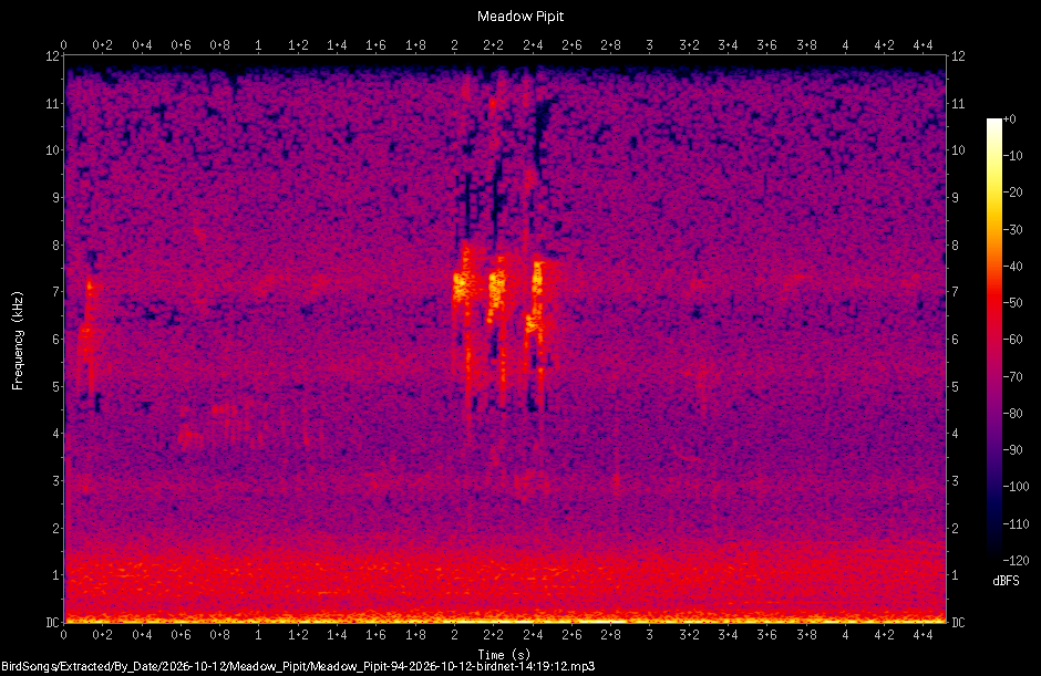 Spectrogram of a Meadow Pipit recorded at 14:19:12