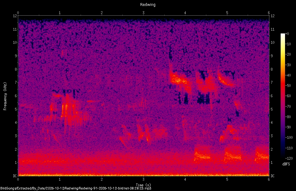 Spectrogram of a Redwing recorded at 08:28:23