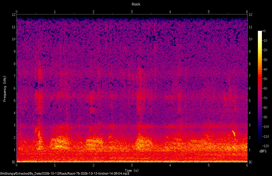 Spectrogram of a Rook recorded at 14:39:04