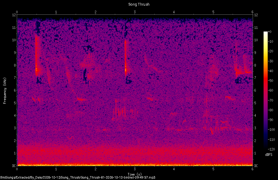Spectrogram of a Song Thrush recorded at 09:49:57
