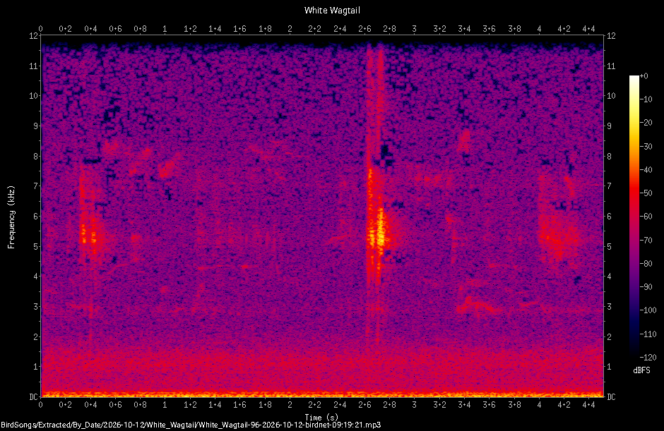 Spectrogram of a White Wagtail recorded at 09:19:21