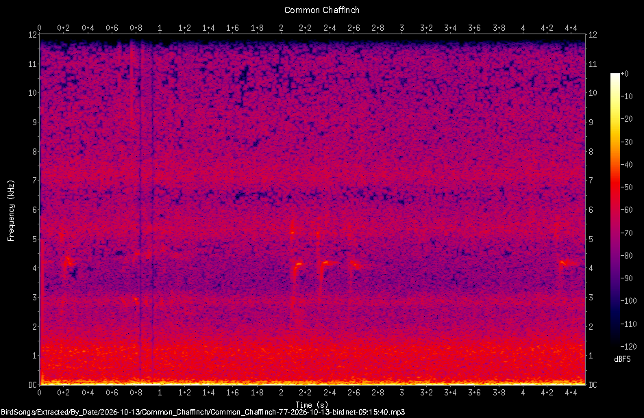 Spectrogram of a Common Chaffinch recorded at 09:15:40
