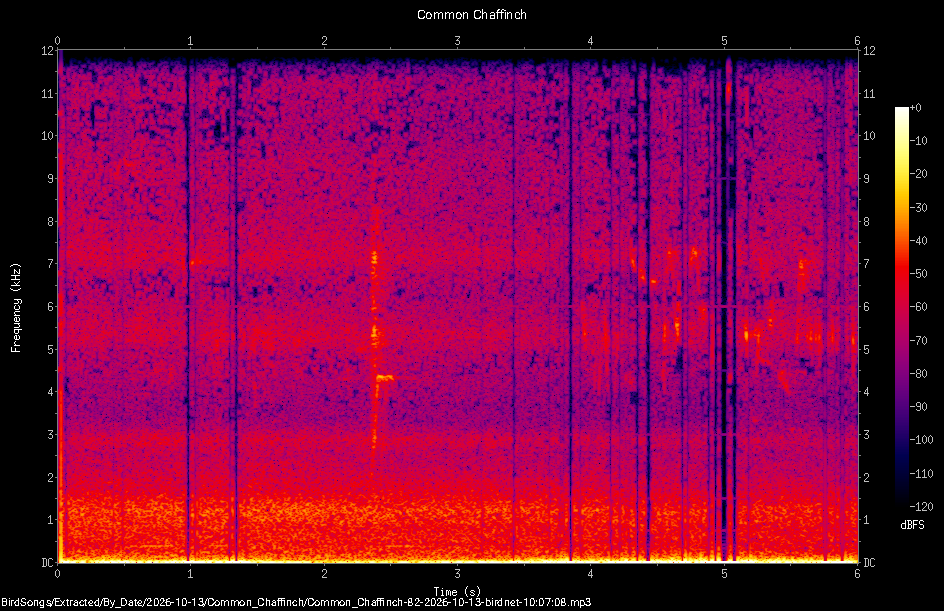 Spectrogram of a Common Chaffinch recorded at 10:07:08