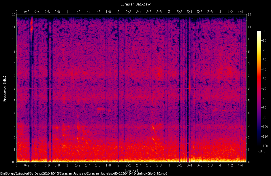 Spectrogram of a Eurasian Jackdaw recorded at 08:40:10