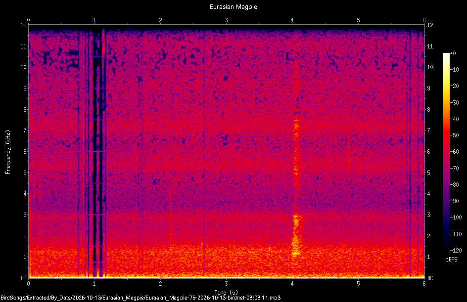 Spectrogram of a Eurasian Magpie recorded at 08:08:11