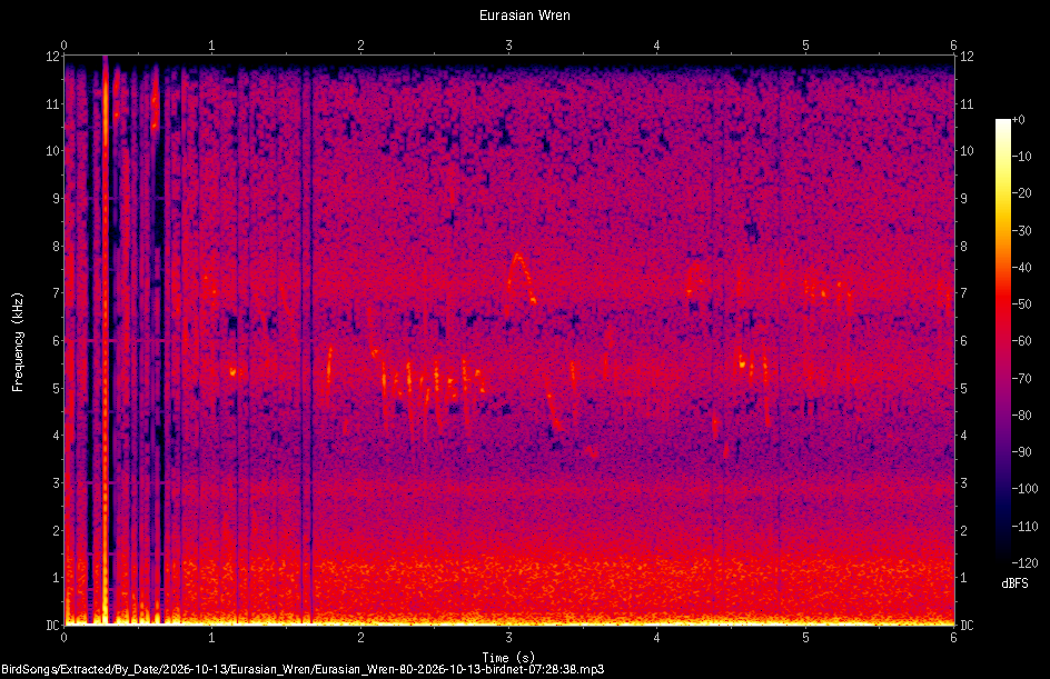 Spectrogram of a Eurasian Wren recorded at 07:28:38