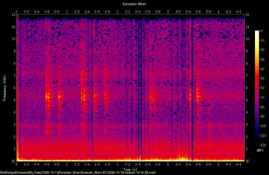 Spectrogram of a Eurasian Wren recorded at 14:16:33