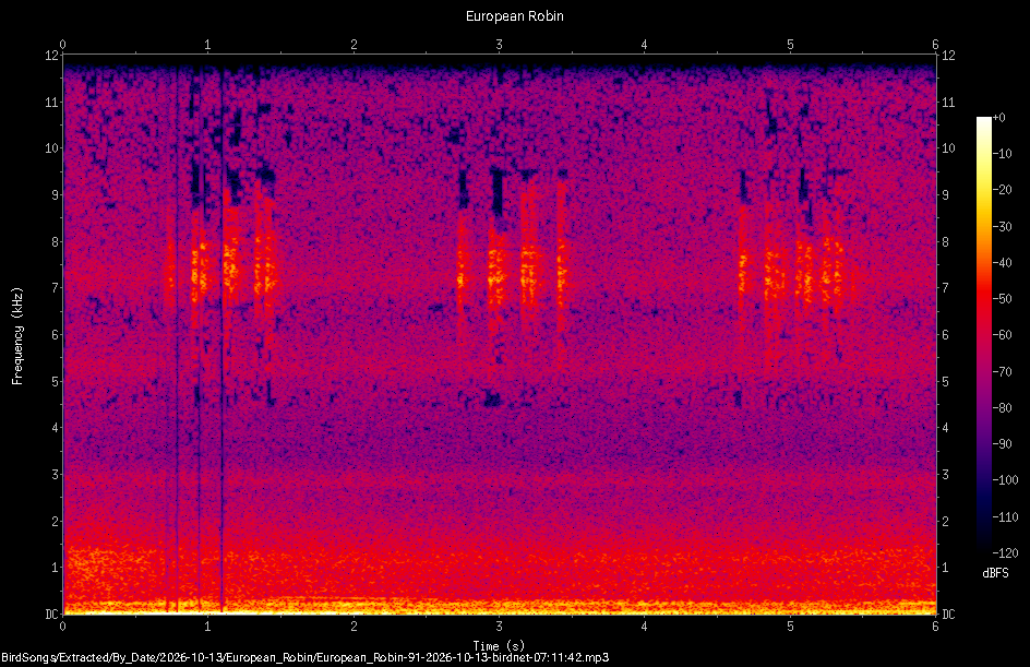Spectrogram of a European Robin recorded at 07:11:42