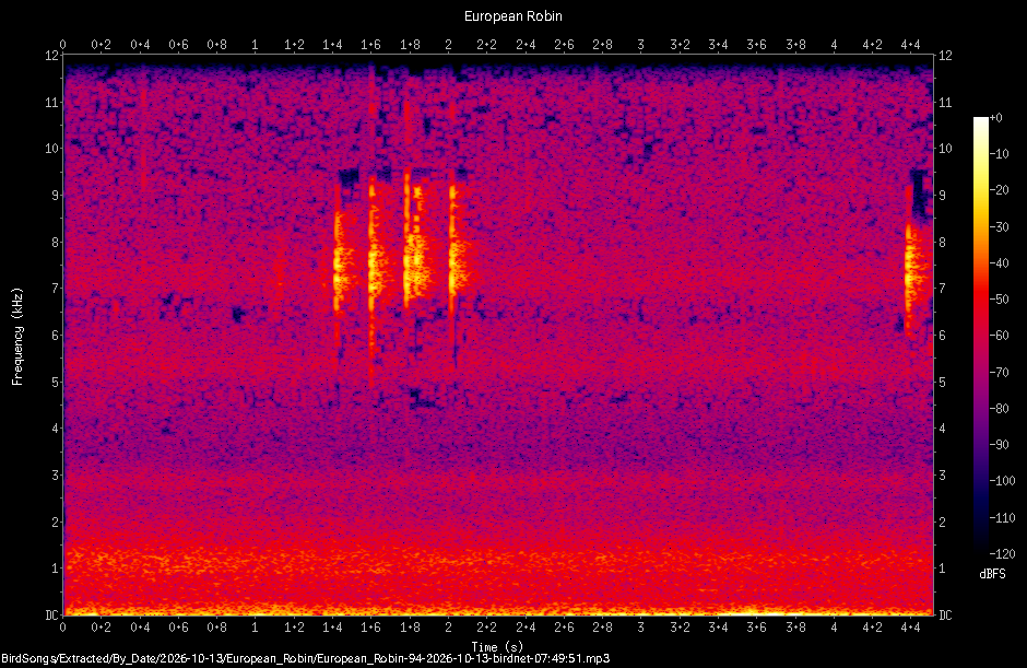 Spectrogram of a European Robin recorded at 07:49:51
