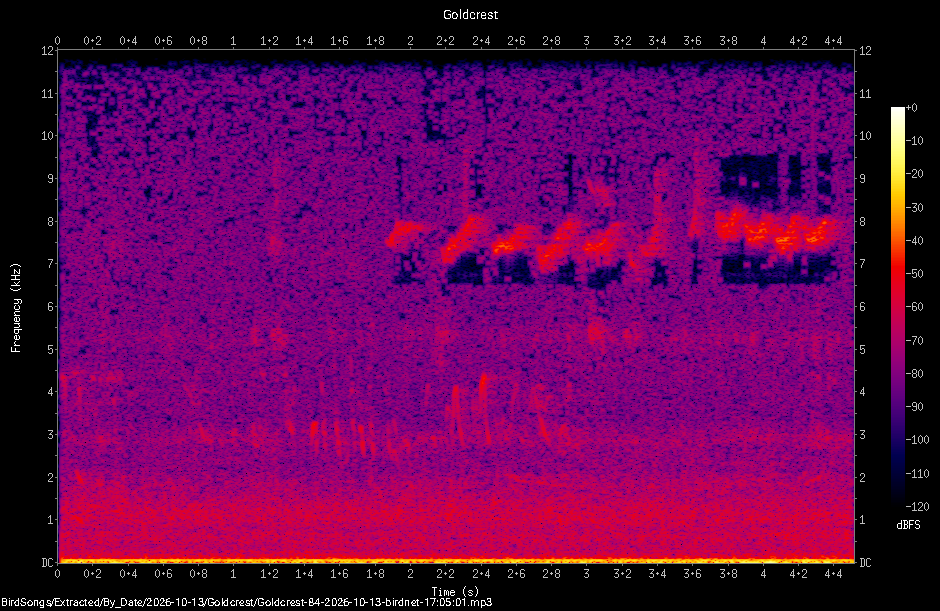 Spectrogram of a Goldcrest recorded at 17:05:01