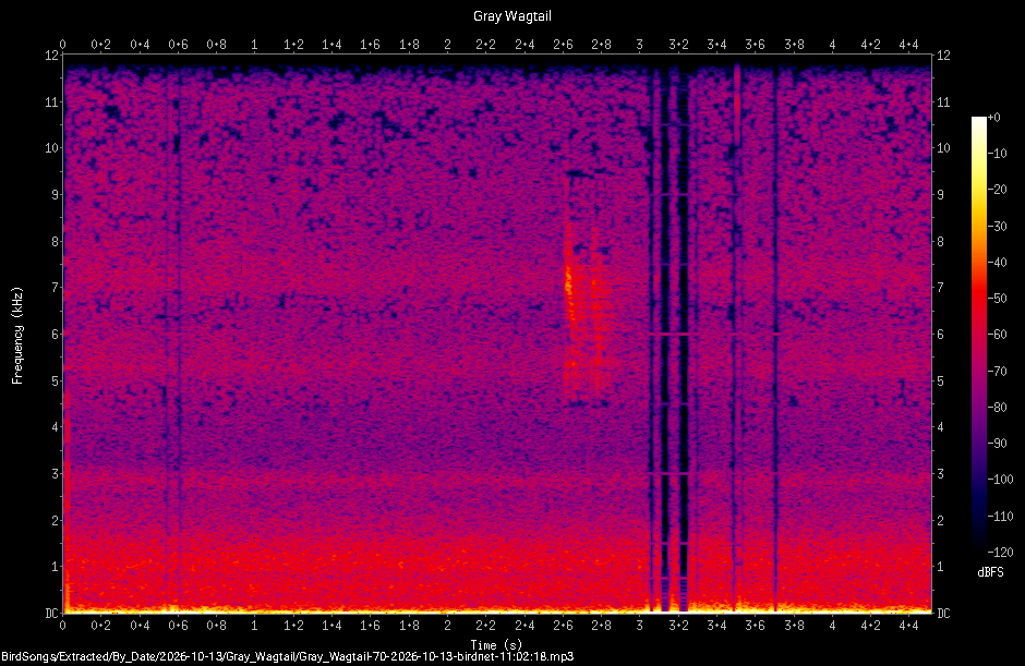 Spectrogram of a Gray Wagtail recorded at 11:02:18