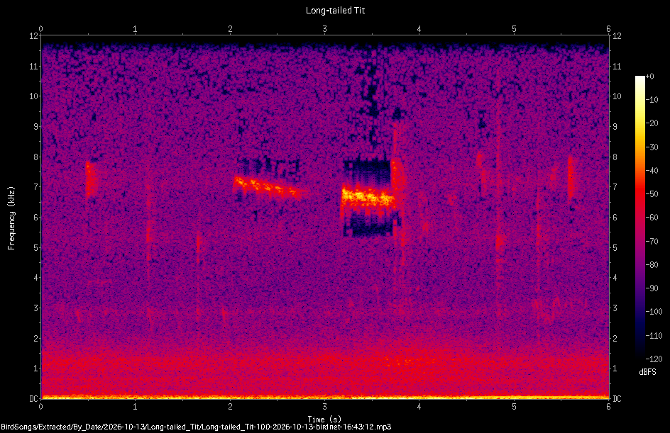 Spectrogram of a Long-tailed Tit recorded at 16:43:12