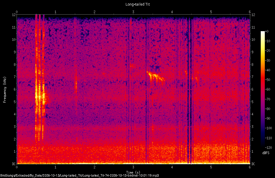 Spectrogram of a Long-tailed Tit recorded at 10:01:19
