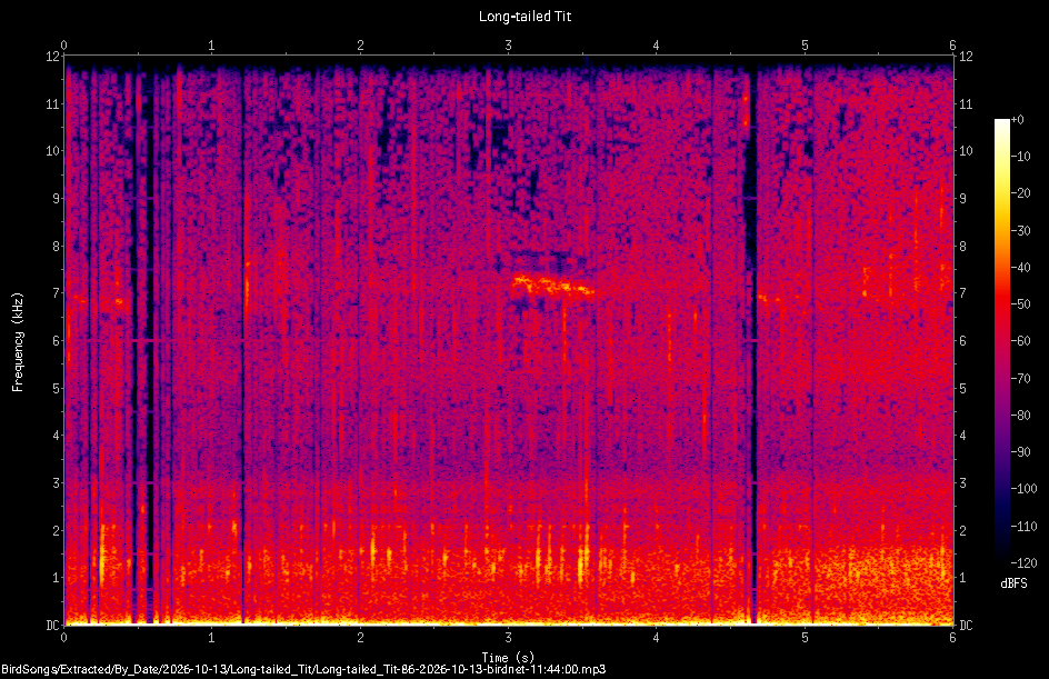 Spectrogram of a Long-tailed Tit recorded at 11:44:00