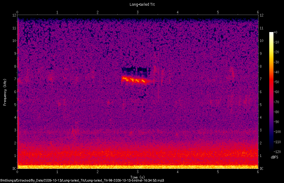 Spectrogram of a Long-tailed Tit recorded at 16:34:53