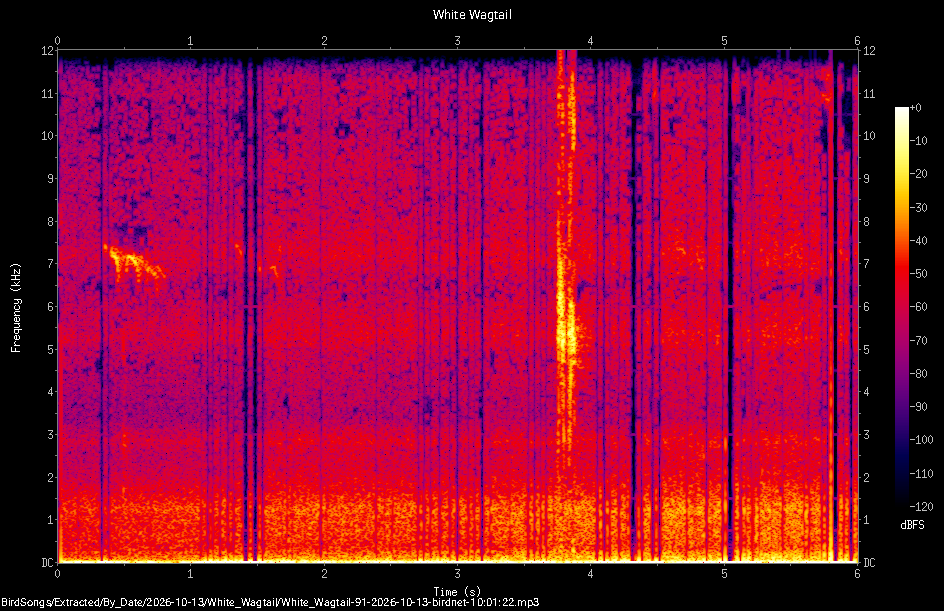 Spectrogram of a White Wagtail recorded at 10:01:22