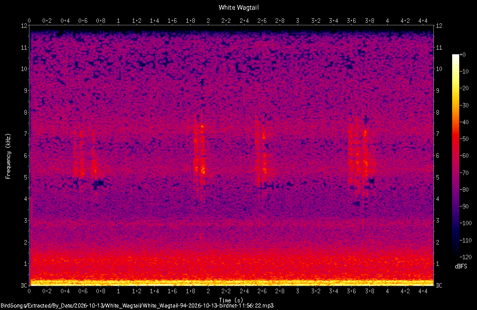 Spectrogram of a White Wagtail recorded at 11:56:22