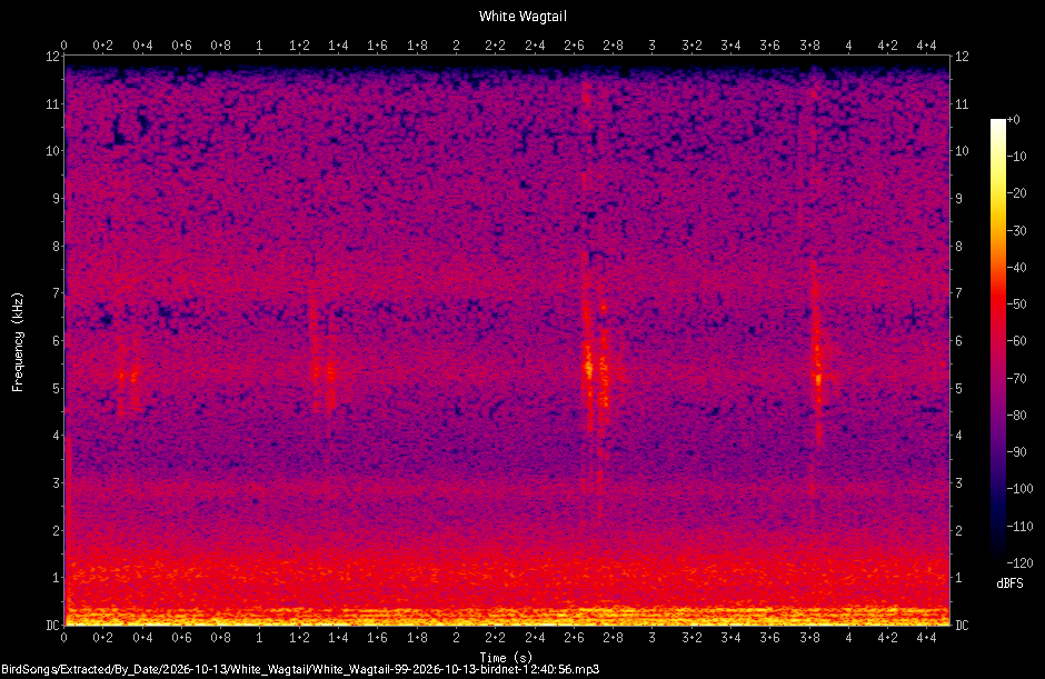 Spectrogram of a White Wagtail recorded at 12:40:56