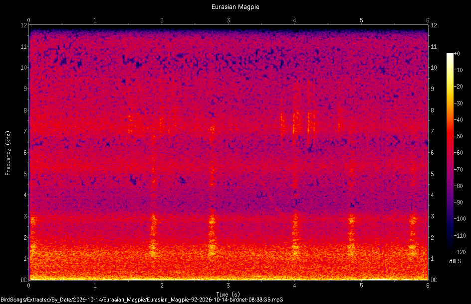 Spectrogram of a Eurasian Magpie recorded at 08:33:35