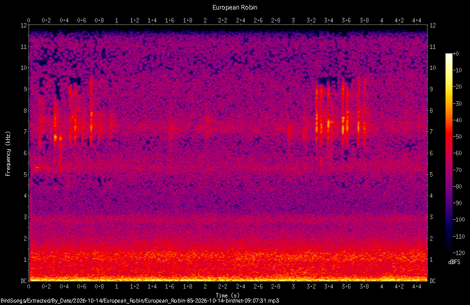 Spectrogram of a European Robin recorded at 09:07:31