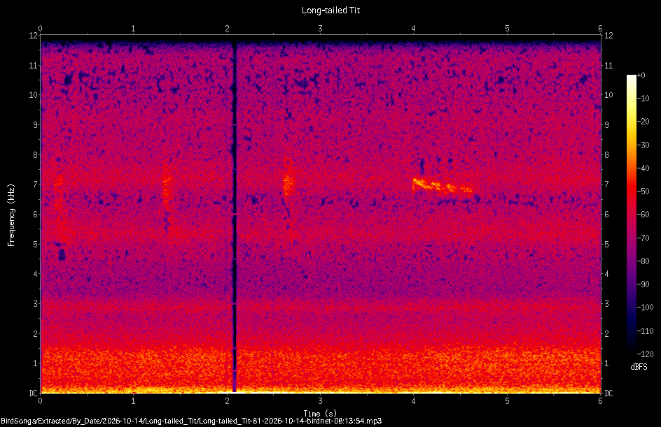 Spectrogram of a Long-tailed Tit recorded at 08:13:54