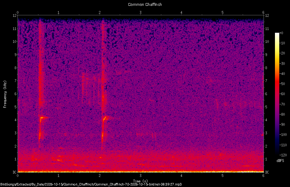 Spectrogram of a Common Chaffinch recorded at 08:39:27