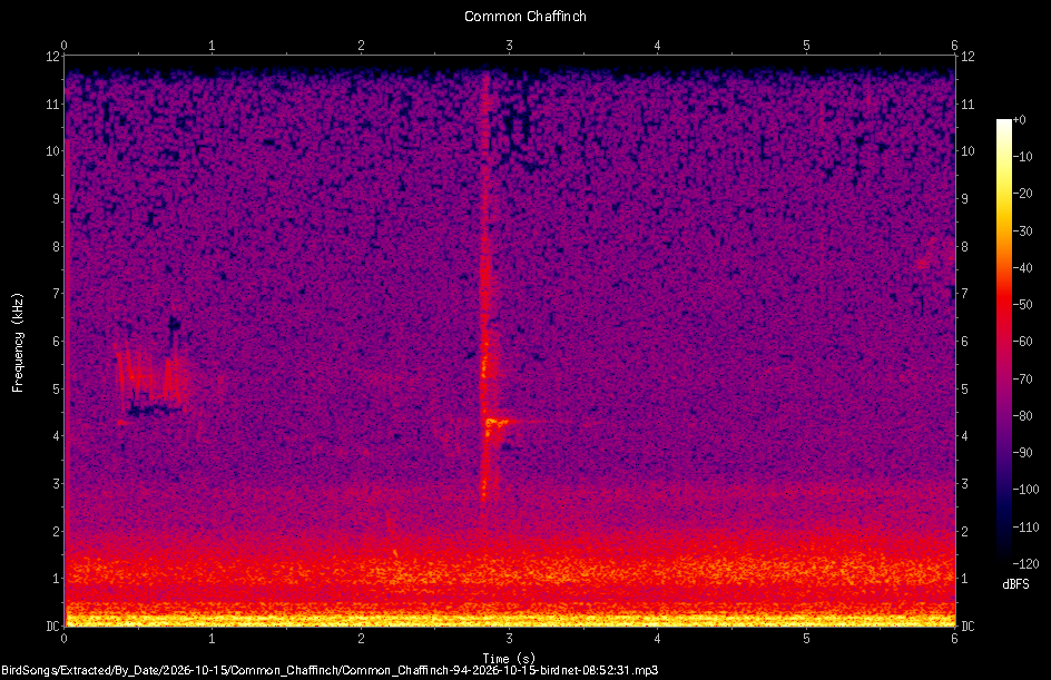 Spectrogram of a Common Chaffinch recorded at 08:52:31