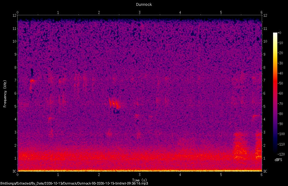 Spectrogram of a Dunnock recorded at 09:36:16