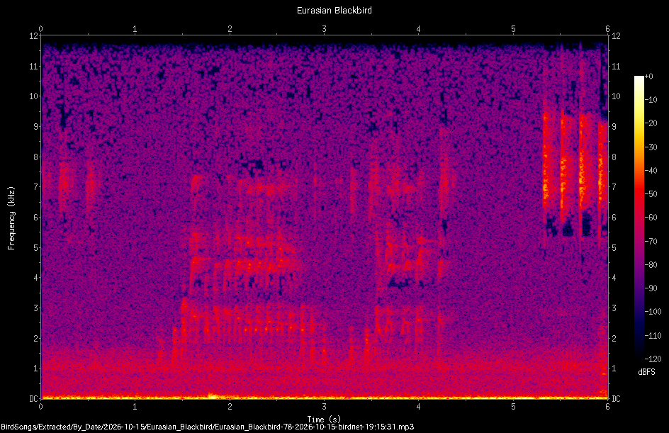 Spectrogram of a Eurasian Blackbird recorded at 19:15:31