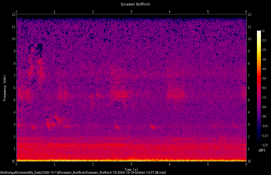 Spectrogram of a Eurasian Bullfinch recorded at 10:27:38