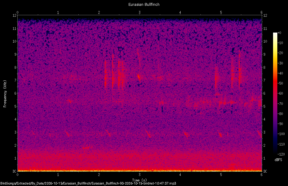 Spectrogram of a Eurasian Bullfinch recorded at 10:47:37