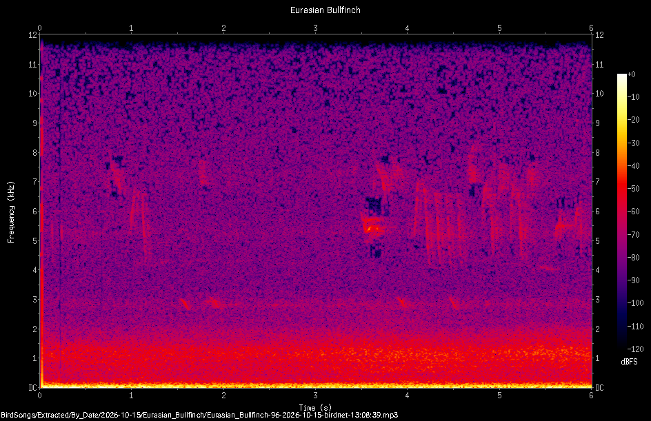 Spectrogram of a Eurasian Bullfinch recorded at 13:08:39