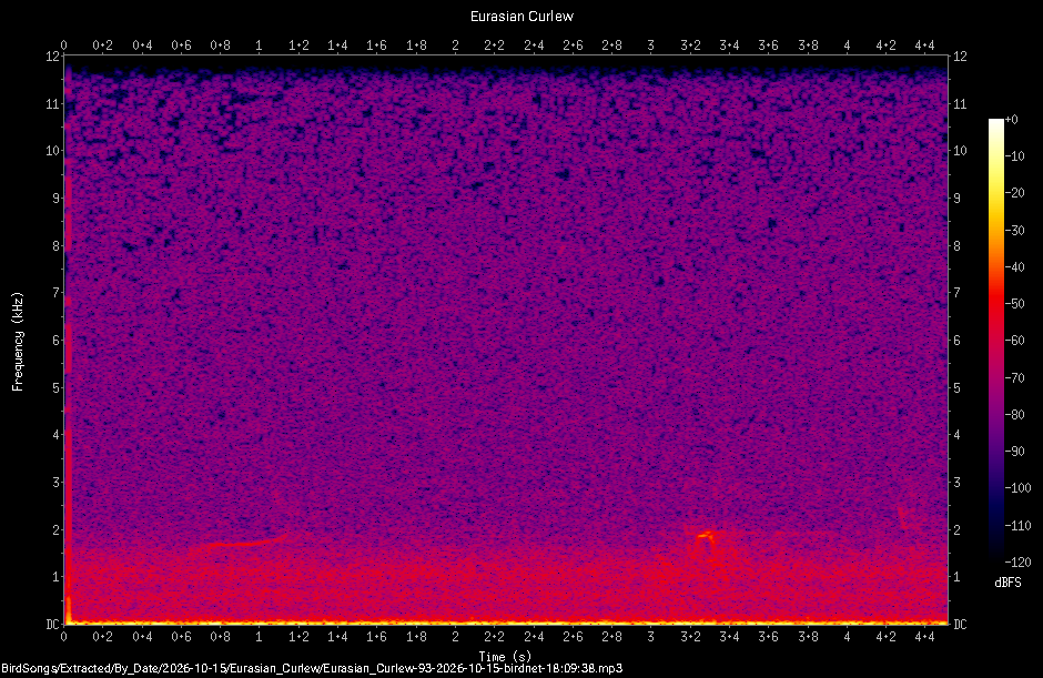 Spectrogram of a Eurasian Curlew recorded at 18:09:38