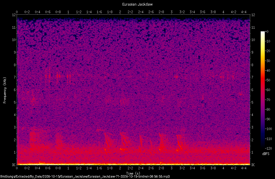 Spectrogram of a Eurasian Jackdaw recorded at 08:56:55