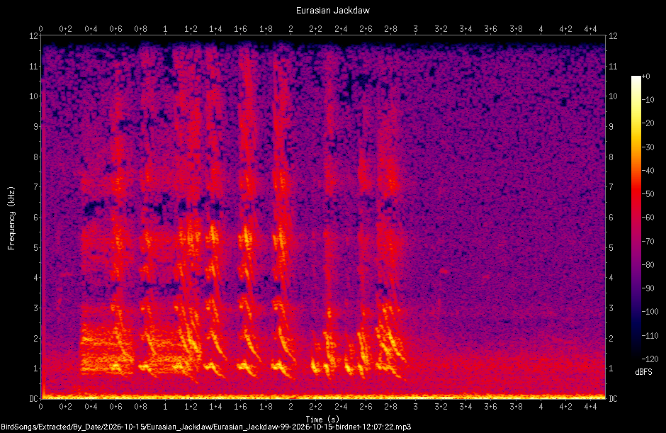 Spectrogram of a Eurasian Jackdaw recorded at 12:07:22