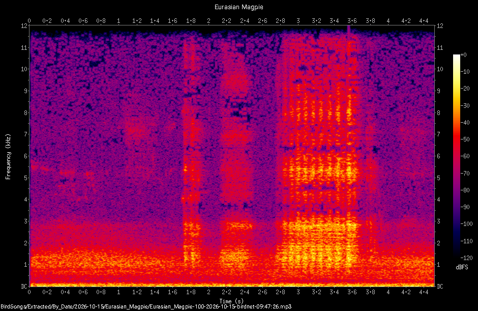Spectrogram of a Eurasian Magpie recorded at 09:47:26