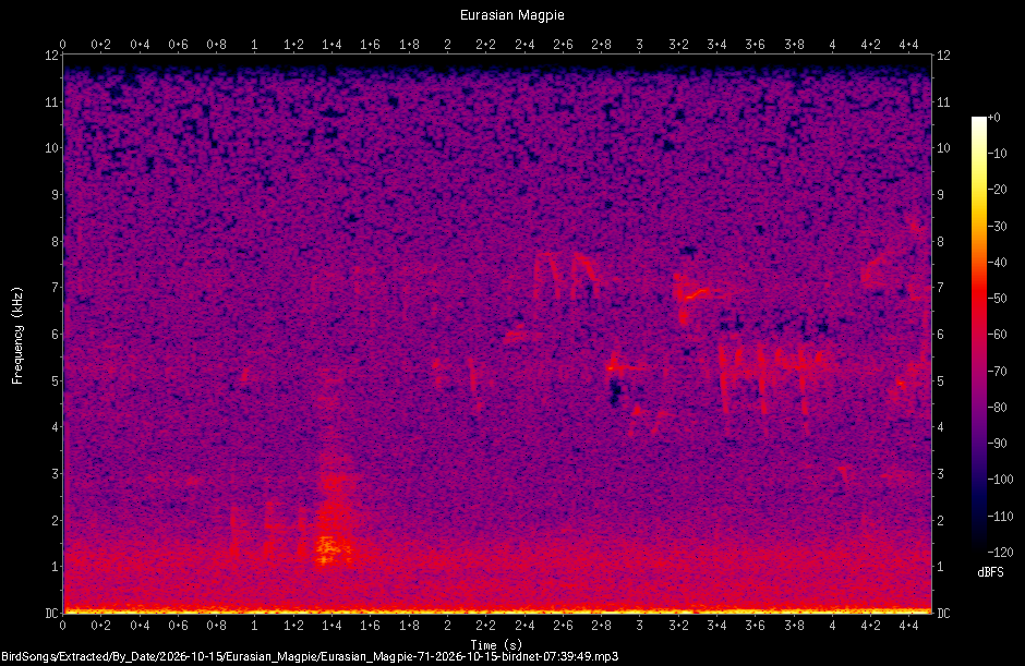 Spectrogram of a Eurasian Magpie recorded at 07:39:49