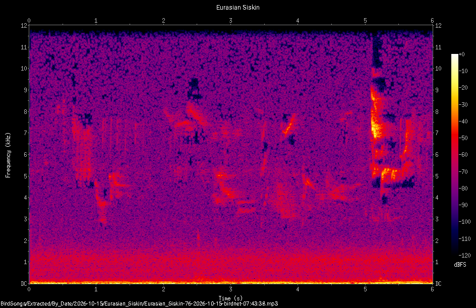 Spectrogram of a Eurasian Siskin recorded at 07:43:38