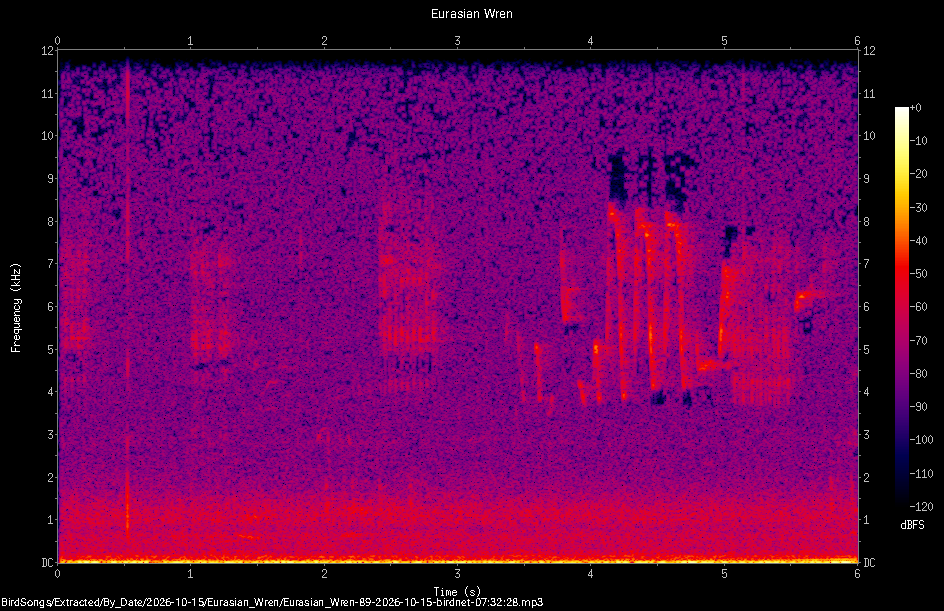 Spectrogram of a Eurasian Wren recorded at 07:32:28