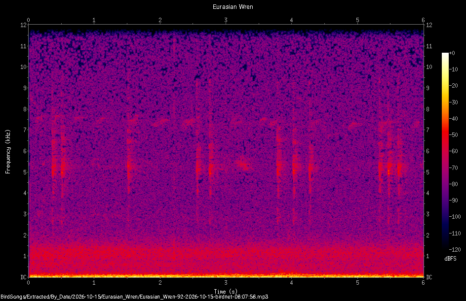 Spectrogram of a Eurasian Wren recorded at 08:07:58