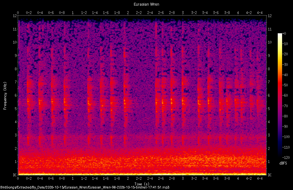 Spectrogram of a Eurasian Wren recorded at 17:41:51