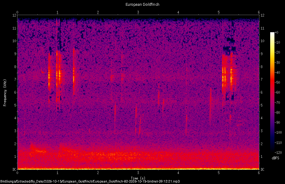 Spectrogram of a European Goldfinch recorded at 09:12:21