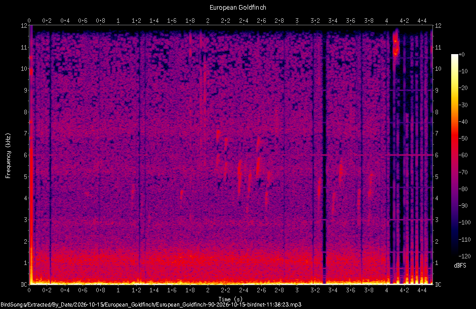 Spectrogram of a European Goldfinch recorded at 11:38:23
