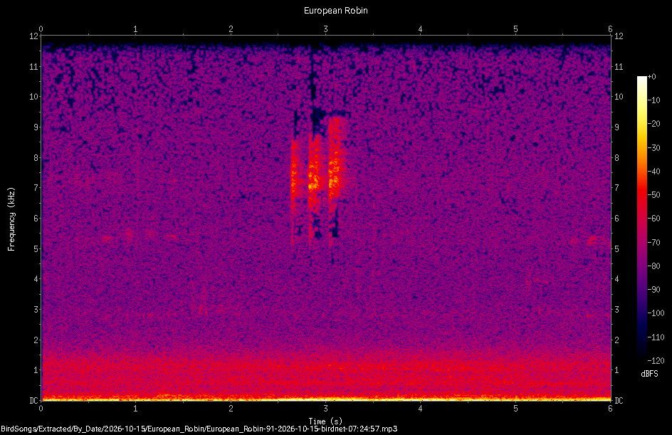 Spectrogram of a European Robin recorded at 07:24:57