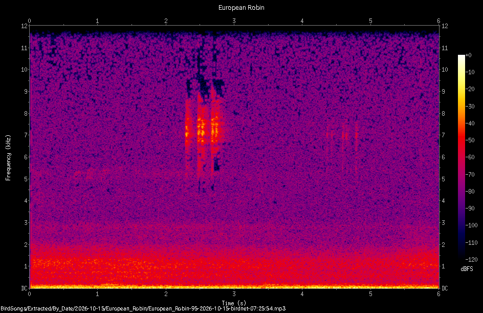 Spectrogram of a European Robin recorded at 07:25:54