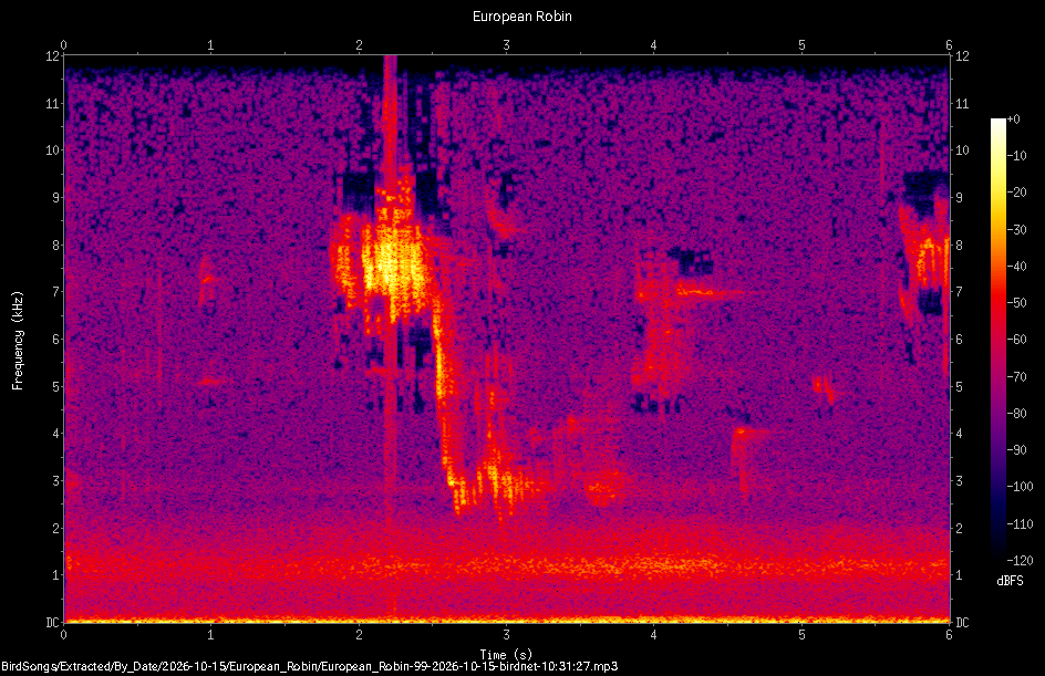 Spectrogram of a European Robin recorded at 10:31:27